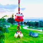 Imagen anterior del producto