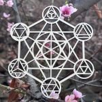 Imagen anterior del producto