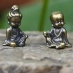 Imagen anterior del producto